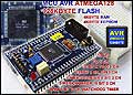 AVR STAMP ATMEGA128